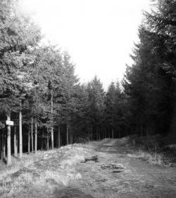 Jedna z prvních cest v zoo